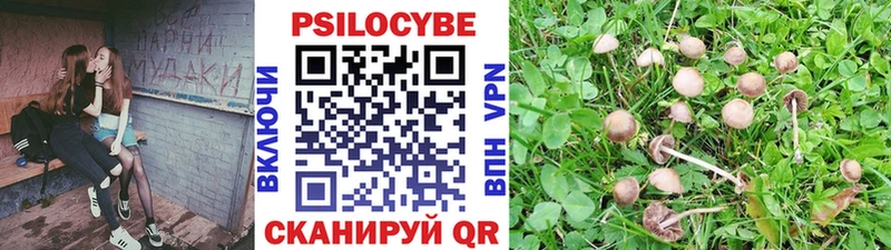 Псилоцибиновые грибы мухоморы  купить наркотик  Удачный 